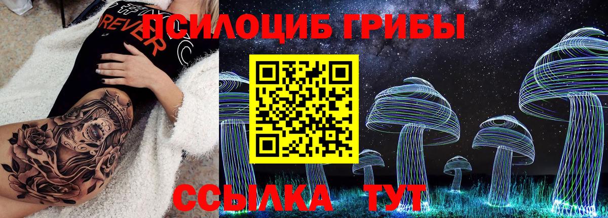 даркнет сайт  Псилоцибиновые грибы Psilocybine cubensis  Вход с VPN  Шали 