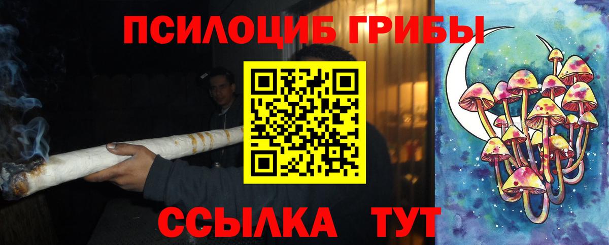 Псилоцибиновые грибы прущие грибы Шали